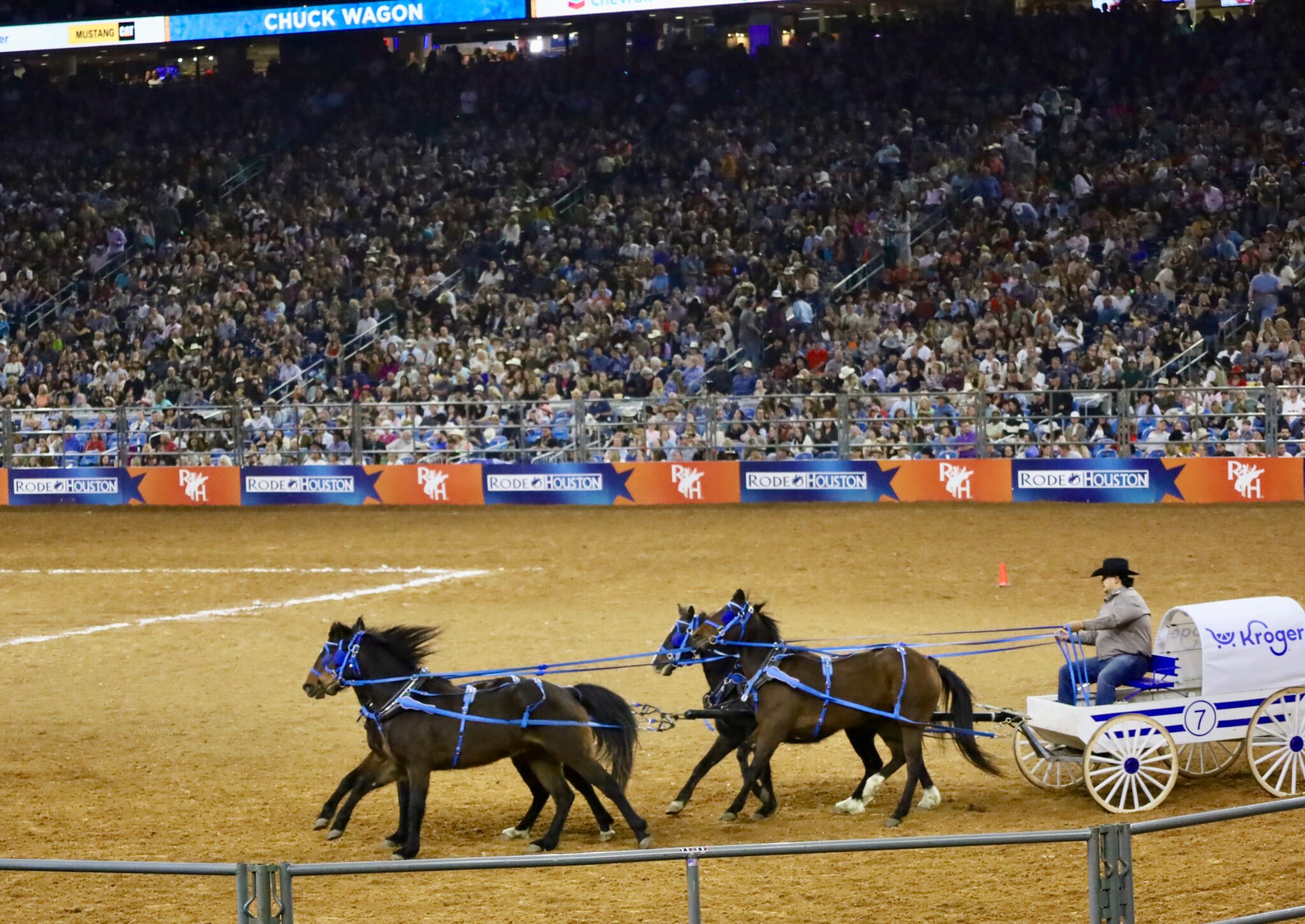 Houston Rodeo Week Top 10 Things at the Houston Rodeo