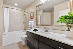 bathroom - Lodgeur at Elan Med Center