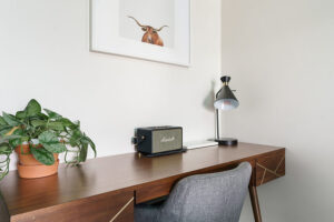 Desk with plant, speaker, lamp and art