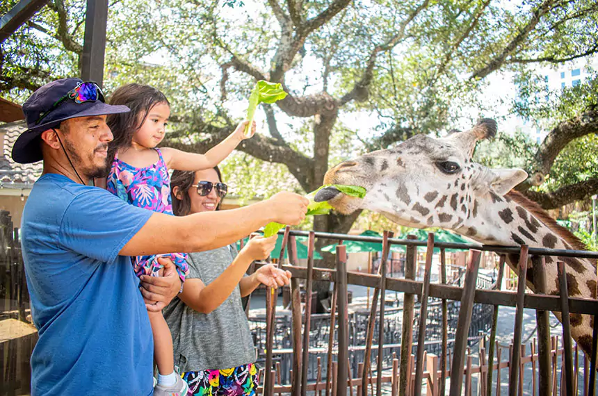 Houston zoo image