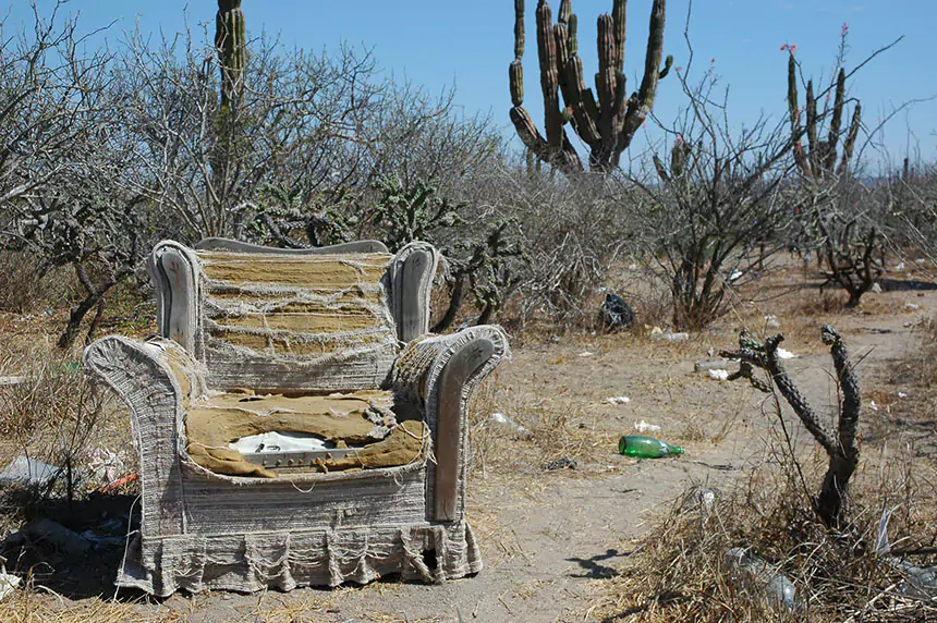 armchair in the cactus desert