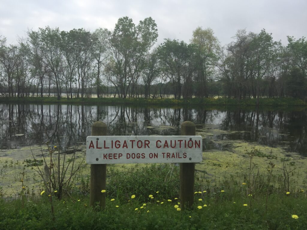 Brazos Bend State Park