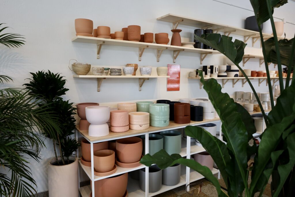 A store filled with pots and plants, offering a green oasis for plant lovers.