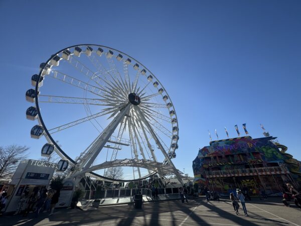 Exciting Rodeo and Concert Experience at Houston Livestock Show